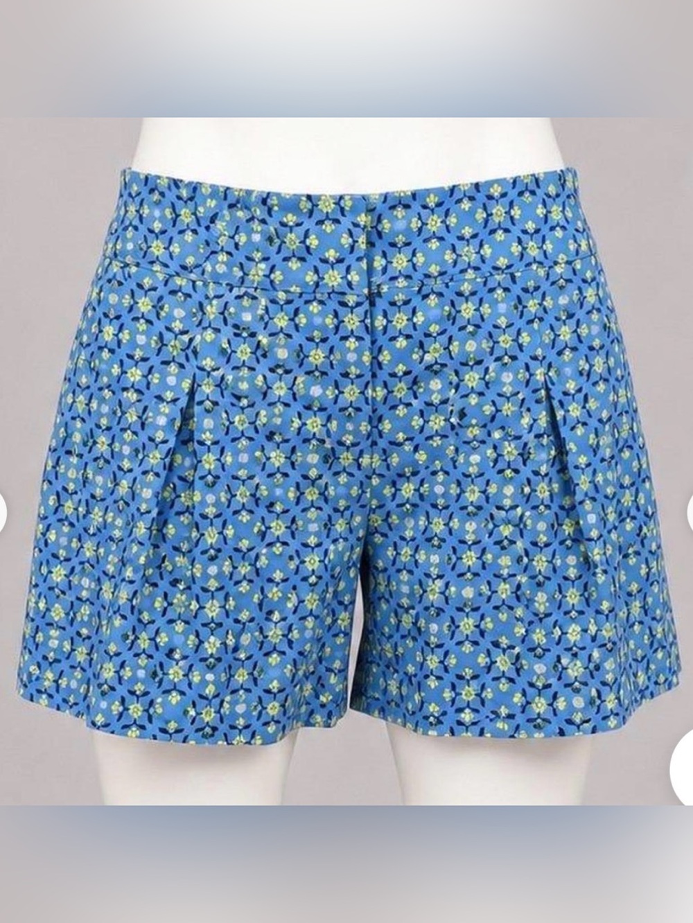 all in motion Blue Floral Pleated Women’s Golf ⛳️ Shorts (Size M) NWT